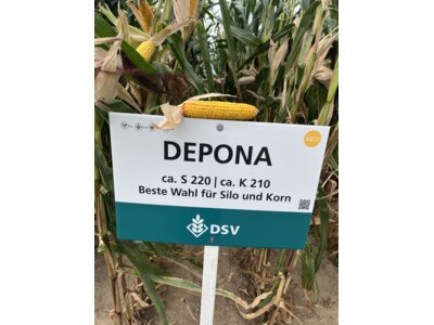 Depona-3