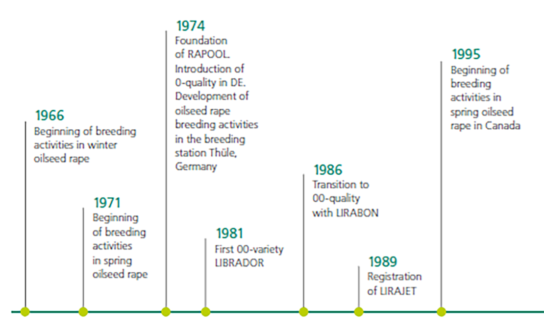 Milestones of the DSV oilseed rape breeding 1966 - 1995