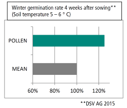 Pollen-0